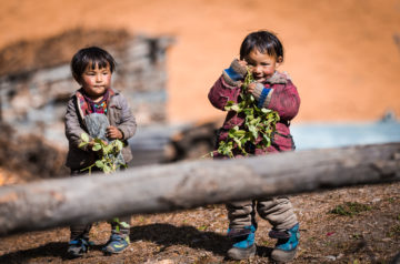 Children Kids Trekking Nepal